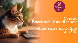 Кошки на войне и в ЧС | Опыт работы | Разговорный стрим с Евгенией Михайловой