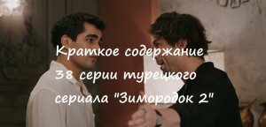 Краткое содержание 38 серии (122, 123 и 124 русских) турецкого сериала "Зимородок 2" (РФ, 2023)