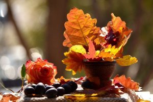 Самый Осенний привет! ? Самые красивые пожелания ❤️