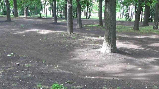 Гонки на багги Краснодар 2016 смотреть онлайн