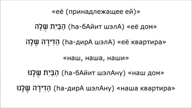 Урок № 79.  Притяжательные местоимения