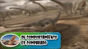 EL TIRANO DE LOS COCODRILOS: Sarcosuchus (Animales Prehistóricos)