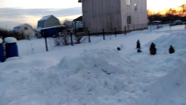 Уход за теплицами зимой смотреть онлайн