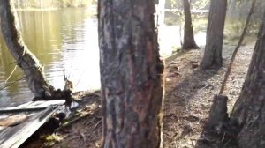 Озеро Берестовое  Приозерский район