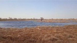 Экстрим-тур на Васюганские болота