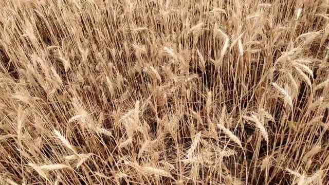 30.06.2020 смотреть онлайн