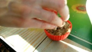 Халва домашняя сыроедная Самая вкусная халва