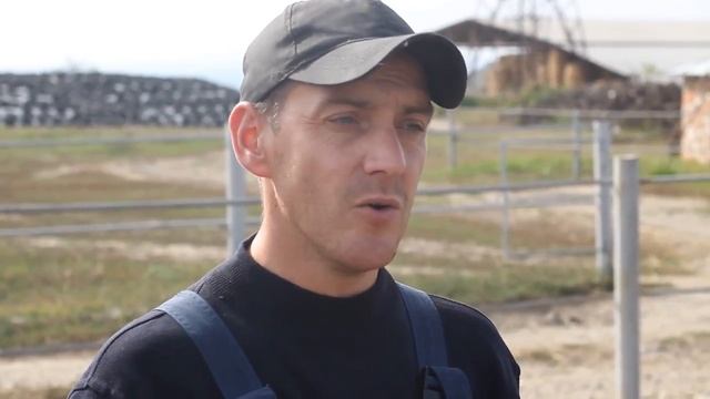 Значение витаминов АДЕ и К в кормлении КРС смотреть онлайн