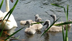 Воскресная школа_урок 10. Авраам.