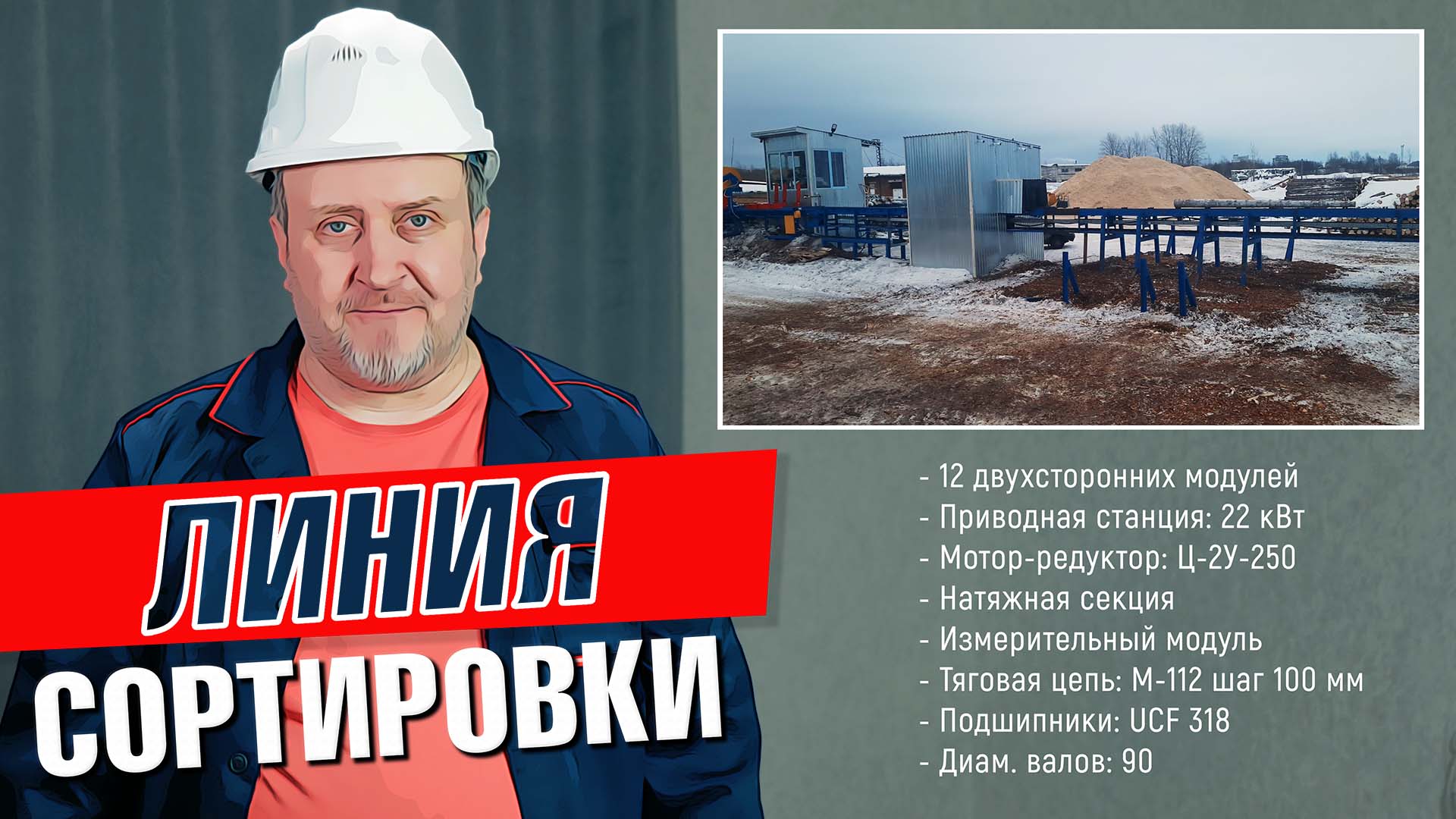 Линия сортировки бревен от Аркон на предприятии ООО БМ Вуд Архангельск