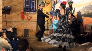 Flamenco dancing