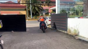 Harley Davidson Street rod 750 Stage 1