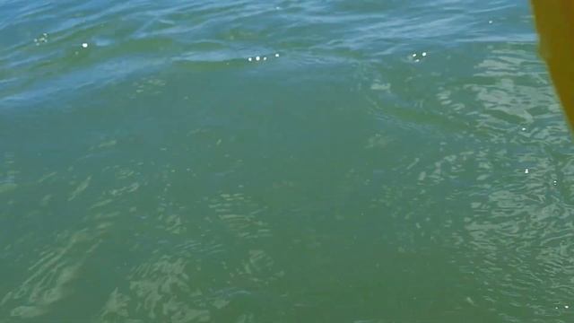 Температура воды в Азовском море. Вид на море со двора... смотреть онлайн