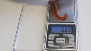 Обзор силиконовых приманок от AllBlue с AliExpress | Копия Swing Impact и fox spiky shad