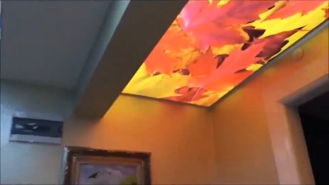 Красивый пример Натяжных потолков с фотопечатью и внутренней подсветкой смотреть онлайн