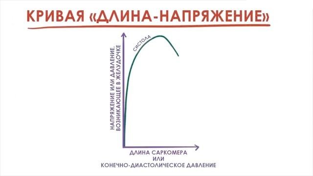 Закон Франка-Старлинга