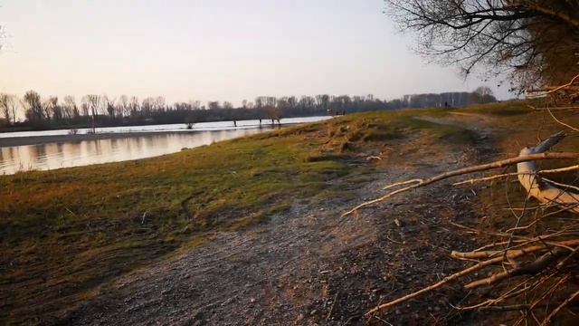 10 000 шагов вдоль Рейна. Что есть в магазинах. смотреть онлайн