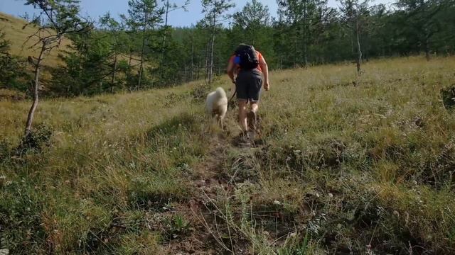Мыс Орсо. Тажераны смотреть онлайн