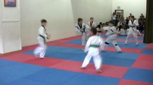 Тхэквондо. Алькор. Аттестация на зелёно-синий пояс