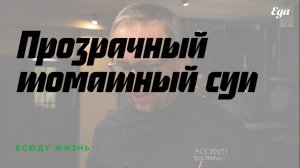 Прозрачный томатный суп