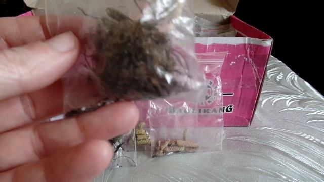 Хранение ризом и луковиц комнатных растений смотреть онлайн