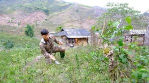 Harvest eggs, sweep goat stables, take care of bean and potato gardens