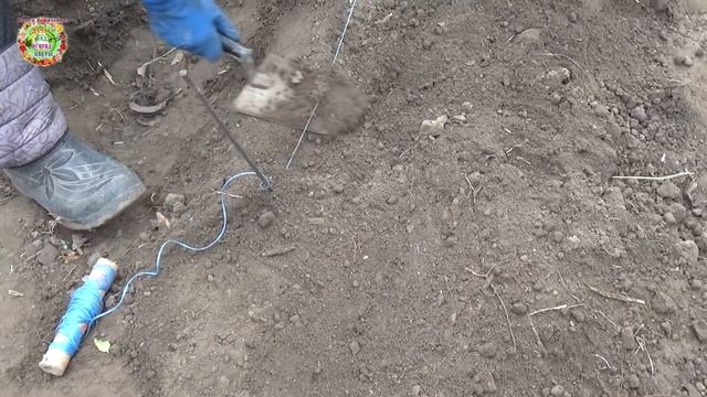 Посолили озимый чеснок и посадили в насыпные грядки Planting winter garlic in the fall with salt смотреть онлайн