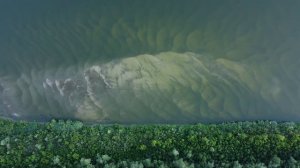 Природа Ростовской области. Животные, птицы, пейзажи.