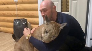 Встреча дня! Пума Месси дождался Папу.