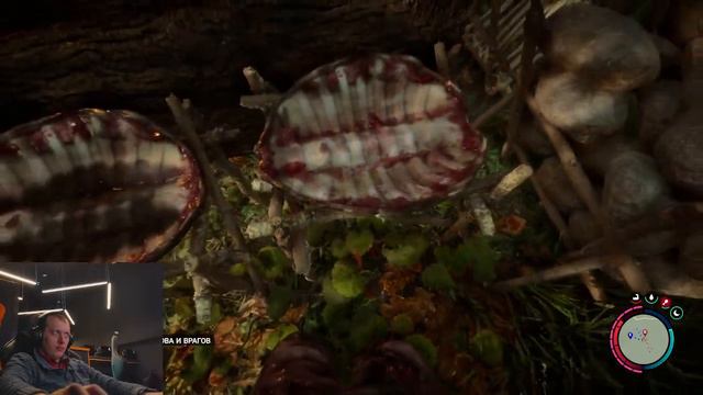 Sons Of The Forest Stream Стрим Сыновья леса прохождение смотреть онлайн