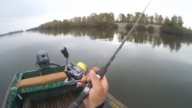 Небольшой обзорчик катушки Grand CONFIDENCE на водоёме. смотреть онлайн