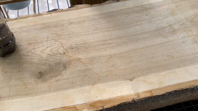 Second germination! - Schlumbergera, Rhipsalidopsis смотреть онлайн