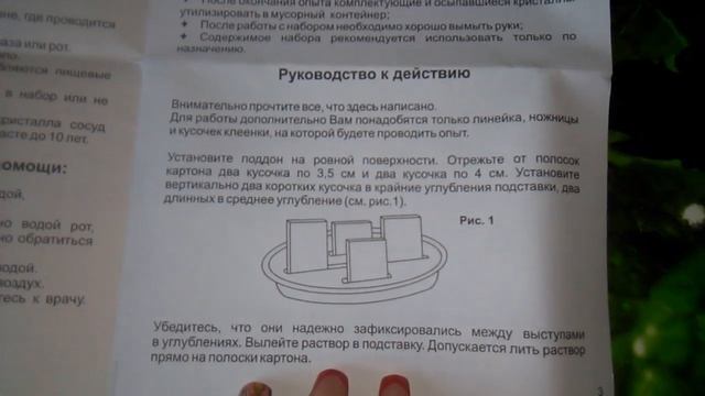 Как Вырастить Кристалл Обзор набора Лучистые Кристаллы фикс прайс Выращивание Кристаллов