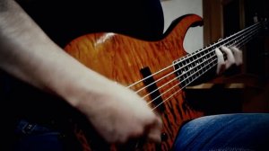 Чёрный Обелиск - Стена (cover by Max Ryanskiy)