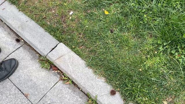 VLOG 2 / Istanbul смотреть онлайн