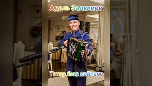 Плясовые наигрыши  на  тальянке.