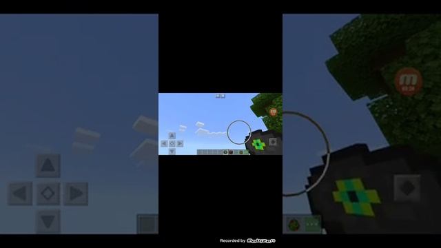 Пробуем заставить попугая танцевать смотреть онлайн