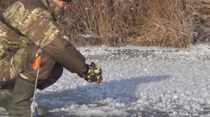 Такого давления не было 20 ЛЕТ! Зимняя Рыбалка на Жерлицы-Балансир 2022-2023!