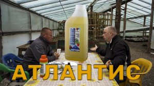 Атлантис для выращивания самой большой тыквы🎃
