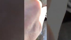 Замена заднего бокового зекркала(стекла) Гранта, Калина, Нива.