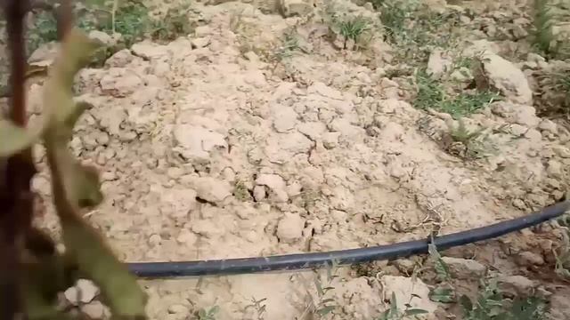 Тамчылатып суугаруу үчүн,шлангага краник орнотуу! смотреть онлайн