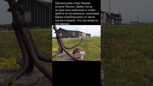 Промысловая точка Черная на реке Пясина. #таймыр #арктика #пясина #тундра #якорь смотреть онлайн