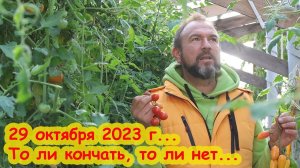 ВСЁ! ФИНИШ! Конец ТЕПЛИЧНОГО СЕЗОНА 2023 года. Что дальше?