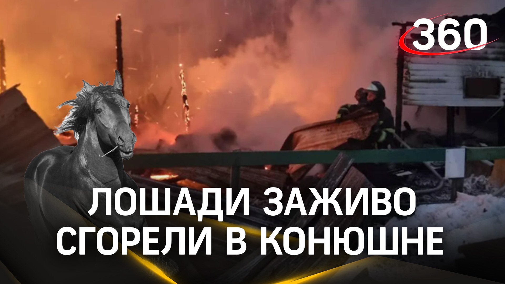 16 лошадей сгорели заживо в конюшне в Москве