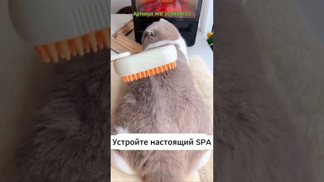 Паровая щетка для кошек Артикул WB 209809130 #пароваящеткадлякошек смотреть онлайн