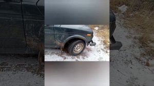 #нива#ваз2131#Lada4х4 шипованые шины на ниву, зимние шины Doublestar Winterking DW07 205/70R15