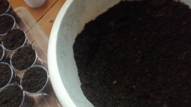 Детский сад для черенков. смотреть онлайн