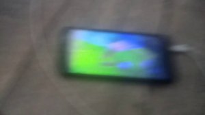 Команда флоры! шале