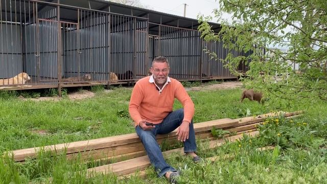 ПОНОС У ЩЕНКА | кормление щенка и как лечить понос у щенка смотреть онлайн