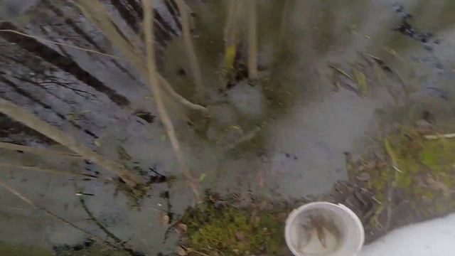 Зарыбление водоёма, видео rybachil.ru смотреть онлайн